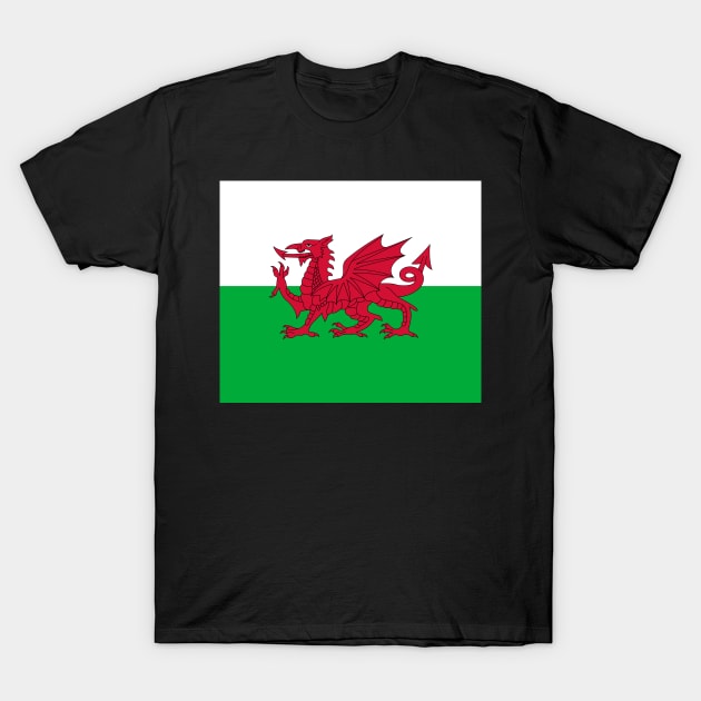 Wales (Cymru) - The Welsh Dragon Flag - Plain and Simple T-Shirt by SolarCross